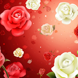 New Flowers Pictures icon