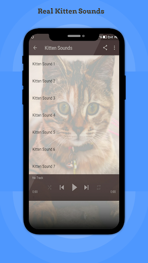 Kitten Sounds Screenshot 2 - AppWisp.com