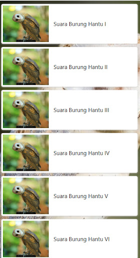 suara burung hantu mp3 Screen 3