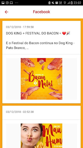 Dog King Pato Branco Screen 3