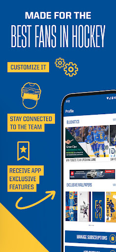 St. Louis Blues Screen 2