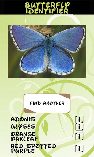 Automatic Butterfly Identifier Screen 3