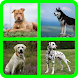 Guess dog breeds - Androidアプリ