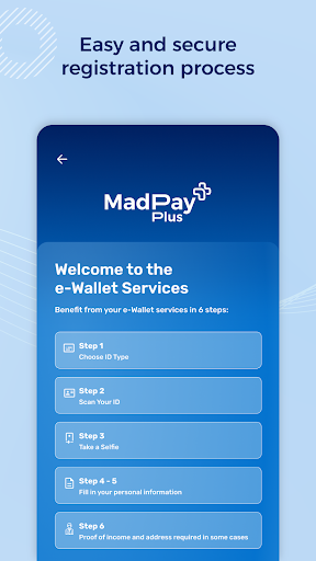 MadPay Plus