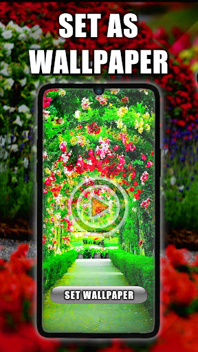 Android application Garden Live Wallpaper screenshort