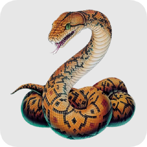 Snake 3D logo