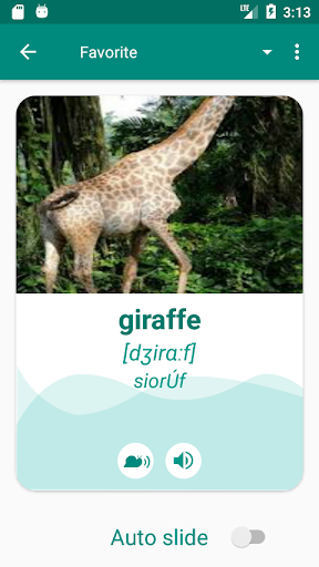 Irish English Dictionary Screen 3