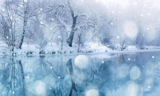 雪 動態壁紙(圖7)-速報App