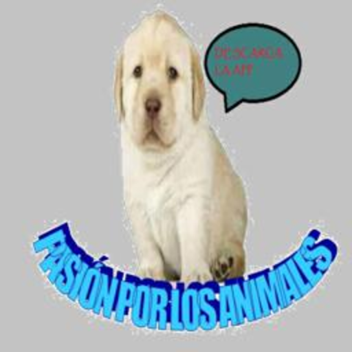 Pasión por los animales.contiene Chat