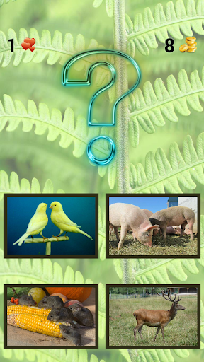 ? Zoo sounds quiz ?  screenshots 2