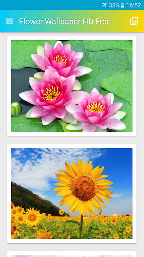 花 壁紙 Hd 無料 By T M Google Play 日本 Searchman アプリマーケットデータ