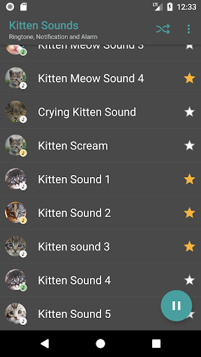 Kitten Sounds Screen 3