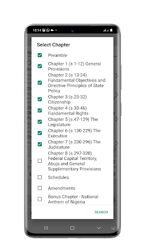 The Constitution 1999