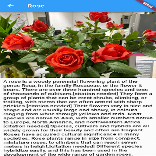 Simple roses Screen 2