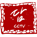 담CCTV icon