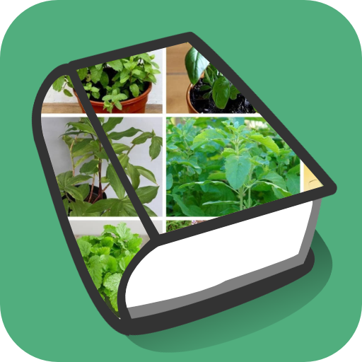 Herbal medicines plant logo