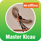 Master Kicau Burung Offline icon