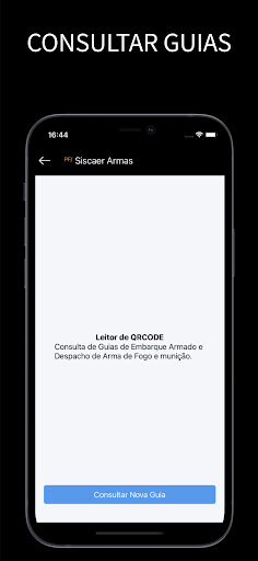 SISCAER Screen 2