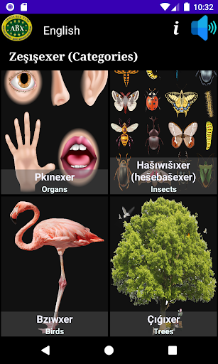 Danef ABX Adiga Vocabulary Screen 3