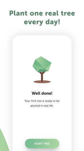 MeditationandTrees