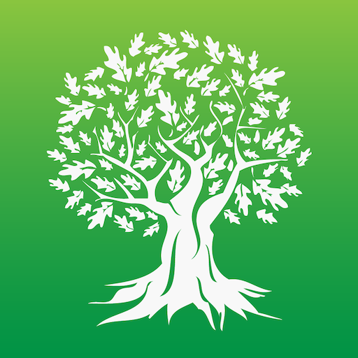 PV Connect logo