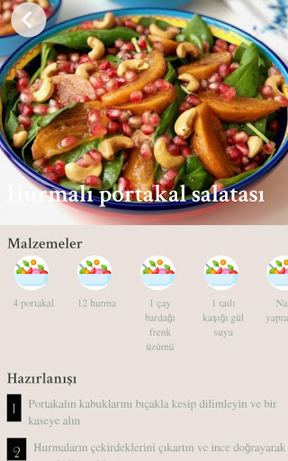 Salata Tarifleri Screen 2