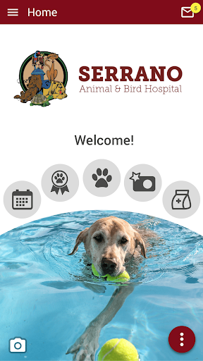 Android application Serrano Vet screenshort