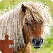 Pony Puzzles: Pony and Horse Jigsaw Puzzles