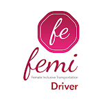 Cover Image of Download Femi Lady Driver  APK