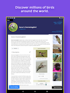 Bird Identifier Screenshot