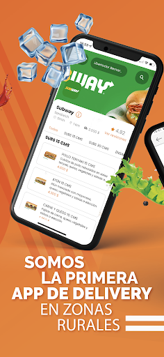 VaoK Delivery Screen 2