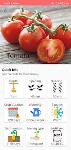 Home Garden 4