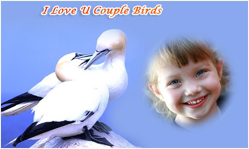 Couple Birds Photo Frames Screen 2