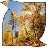 Autumn Live HD Wallpaper icon