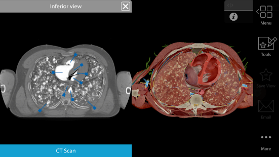 Physiology & Pathology(圖7)-速報App
