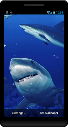 サメライブ壁紙のおすすめ画像2