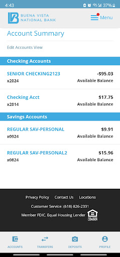 Buena Vista National Bank Screen 3