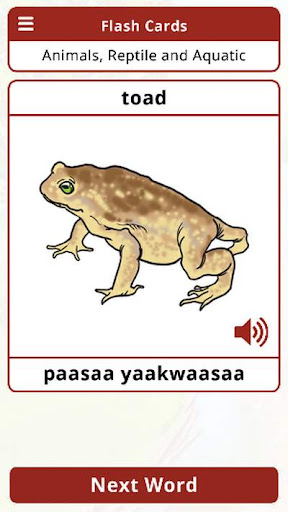 Eastern Shoshone Vocab Builder Screen 2