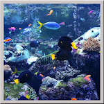 Cover Image of ดาวน์โหลด Aquarium Live Wallpaper  APK