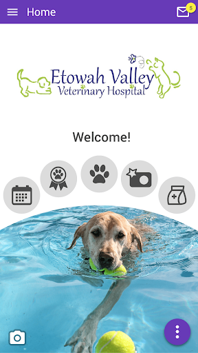 Android application Etowah Valley Vet screenshort
