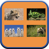 Animals Quiz Pro icon