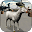 Goat Frenzy Download on Windows