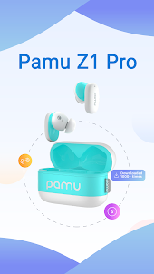 Pamu Z1 Pro Earbuds Guide