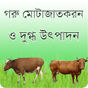 গরু মোতাজাতকরন ও দুগ্ধ উৎপাদন - Cattle Care Bangla