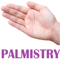 Palmistry eBook 아이콘 이미지