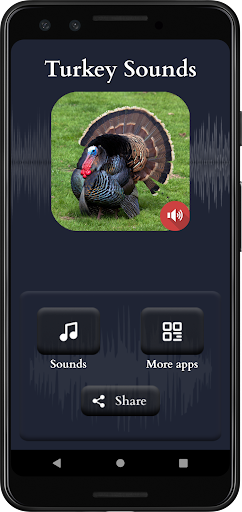 Turkey Sounds Screen 2