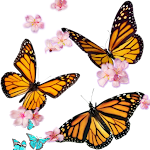 Cover Image of Baixar Butterflies Stickers whastapp  APK