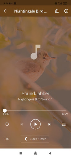 Nightingale Bird Sounds Screen 2