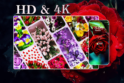 Android application Flower Wallpaper HD screenshort