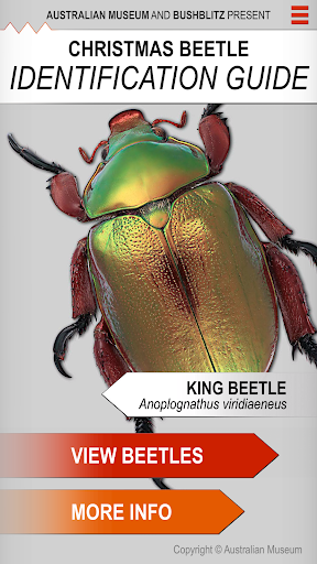 Android application Xmas Beetle ID Guide screenshort